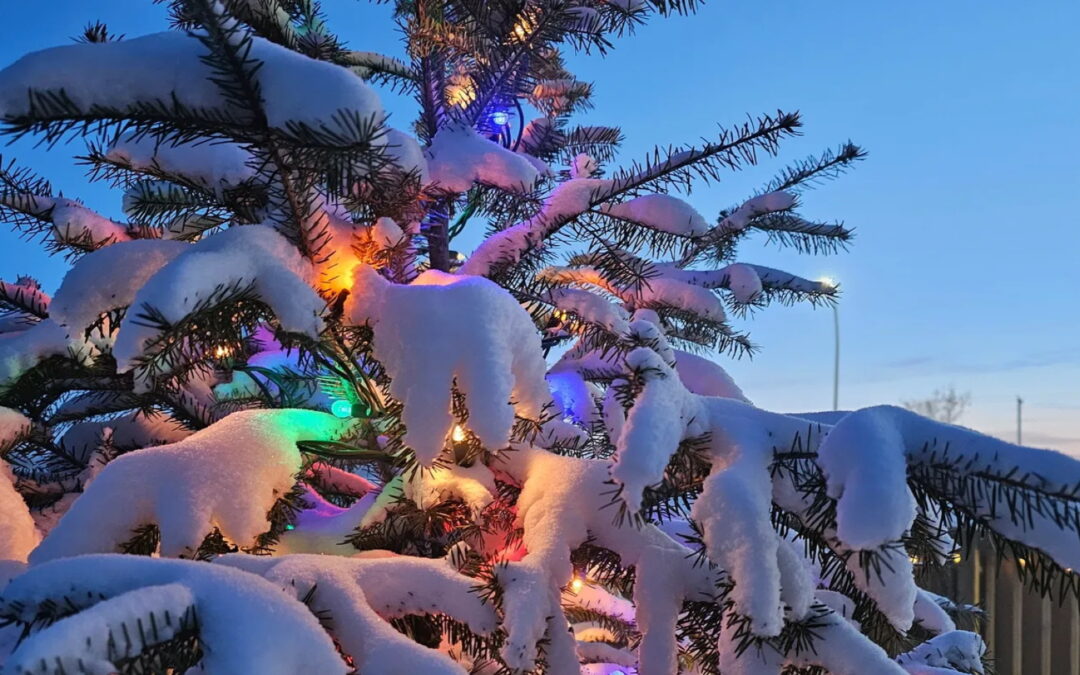 The Weather outside is Frightful! Almost as frightful as we are..